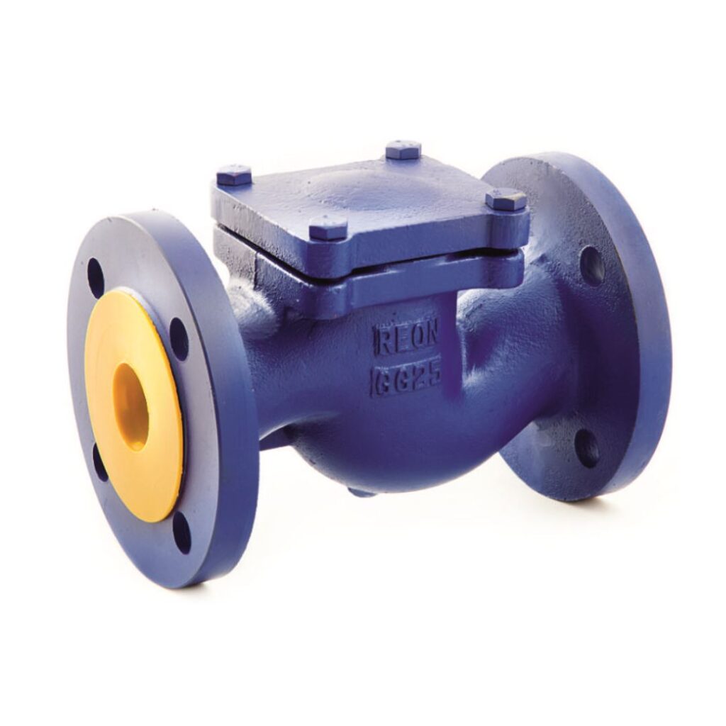 Swing Check Valve