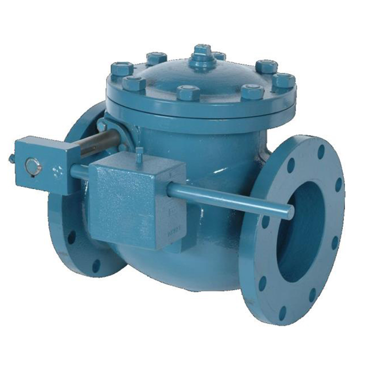 Swing Check Valve with Lever Weight