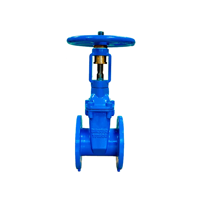 V1300 rising stem gate valve 1