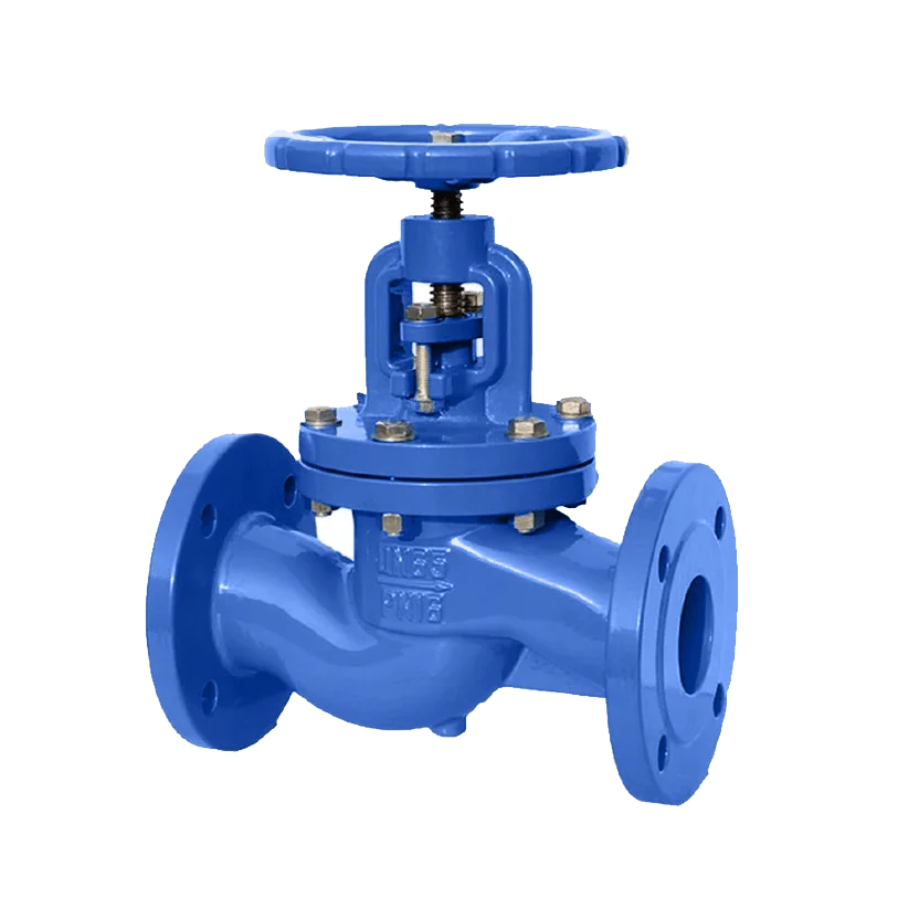 V6100 globe valve 1