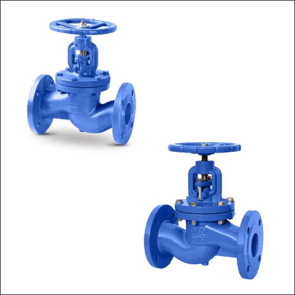 Globe Valves